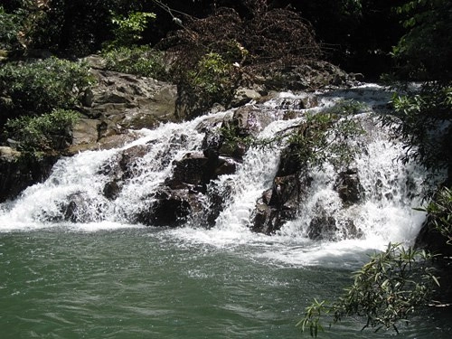 Thác yang bay nàng công chúa giữa đại ngàn - 1