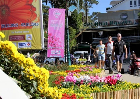 Trước thềm khai mạc festival hoa đà lạt 2015 - 4