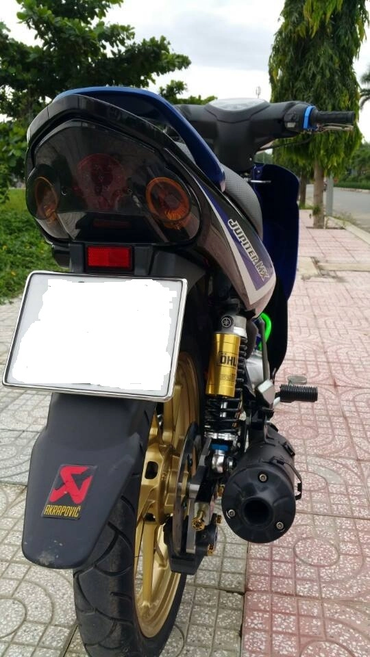 Vẻ đẹp đến từ chiếc jupiter kiểng - 2