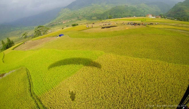 Vẻ đẹp mùa vàng mù cang chải từ dù lượn - 9