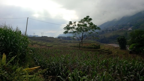 Vẻ hoang sơ của tả van - 6
