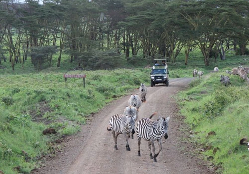 10 định kiến sai lầm về du lịch kenya - 2