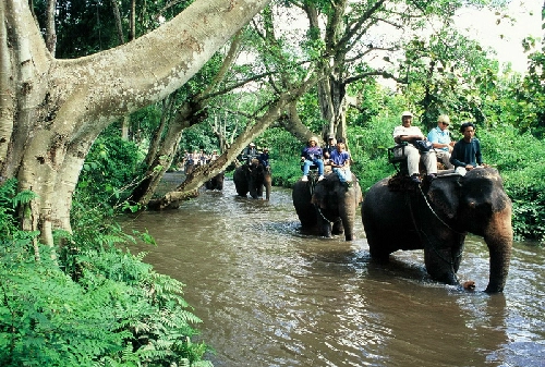 20 hanh trinh khiên ban nhơ suôt đơi - 9