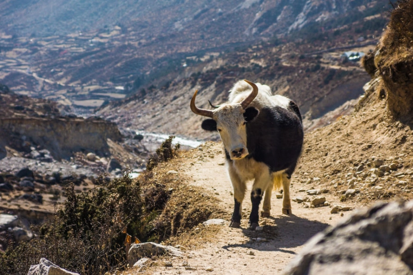 29 bức ảnh đẹp của dân phượt khiến bạn muốn đến nepal ngay lập tức - 29