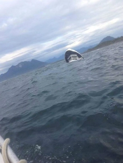 5 du khách thiệt mạng khi đi ngắm cá voi - 1