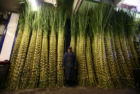 Abasto chợ bán buôn lớn nhất thế giới - 2