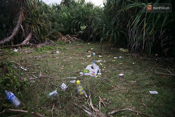 Bãi xép - phân cảnh trong phim hoa vàng trên cỏ xanh bắt đầu ngập đầy rác - 10