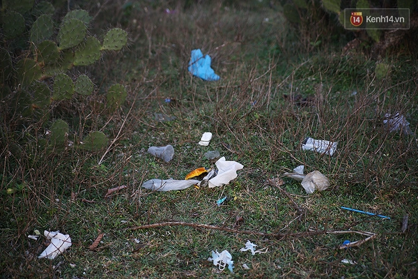 Bãi xép - phân cảnh trong phim hoa vàng trên cỏ xanh bắt đầu ngập đầy rác - 11