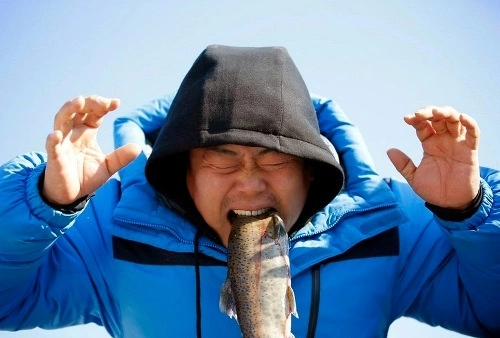 Bắt cá hồi bằng tay không trên sông băng hàn quốc - 4