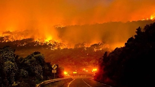 Cháy rừng australia thiêu rụi phần lớn khu du lịch nổi tiếng - 1