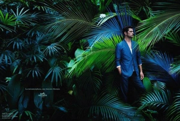 Chiến dịch thời trang nam xuân hè 2014 từ dior homme và hermès - 1