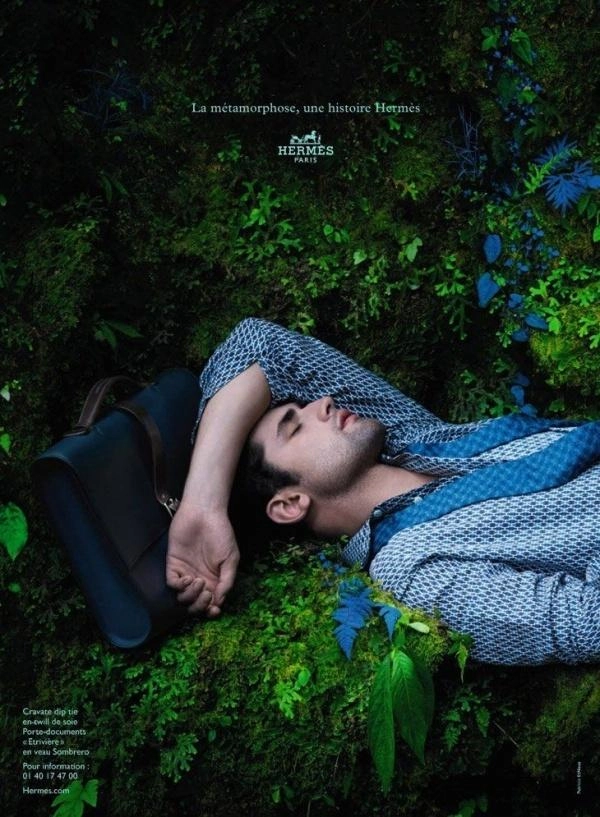 Chiến dịch thời trang nam xuân hè 2014 từ dior homme và hermès - 2