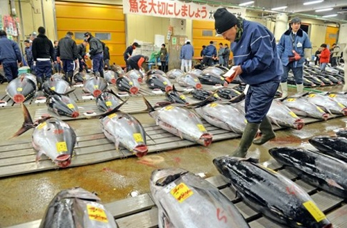 Chợ cá tsukiji 80 tuổi mở phiên đấu giá cuối cùng - 2