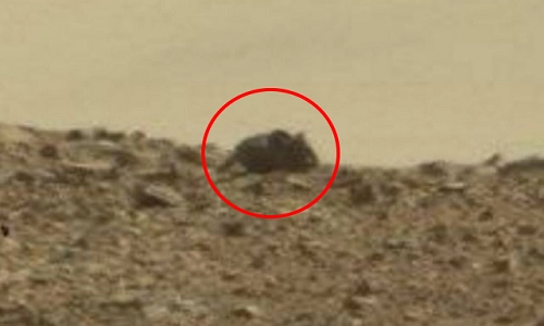 Chuột khổng lồ trên sao hỏa - 1