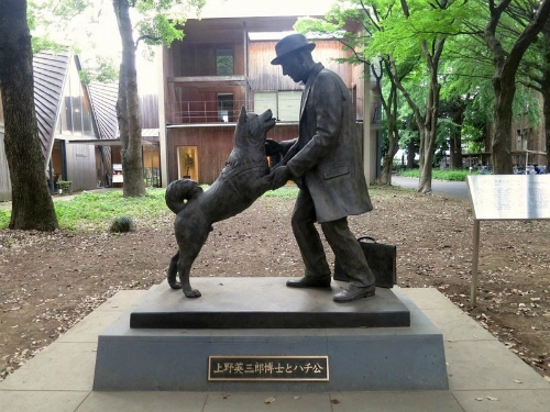 Chuyện kể về chú chó trung thành nhất lịch sử ở tokyo - 4