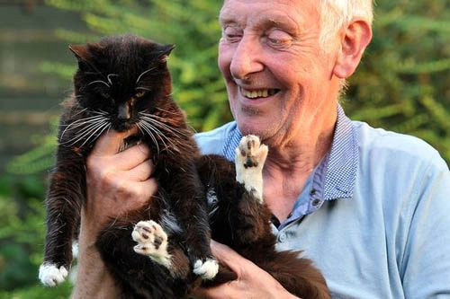 Con mèo già nhất thế giới - 1