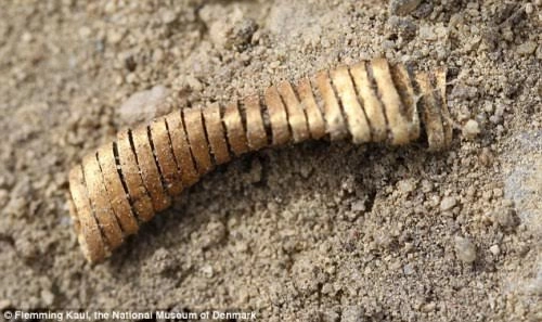 Đan mạch phát hiện hàng nghìn cuộn vàng 3000 năm tuổi - 2