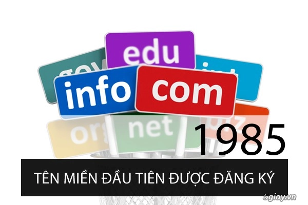 Đi tìm những thứ đầu tiên của thế giới internet - 3