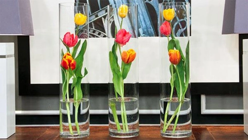 Đủ kiểu cắm hoa tulip dễ nhưng đẹp sang trọng - 4