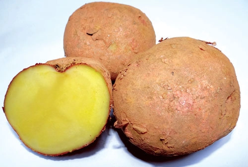 Giữ vitamin c cho rau quả - 3