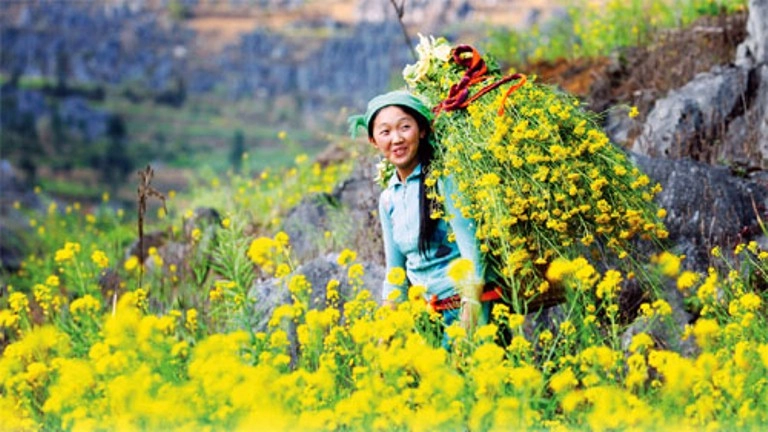 Hà giang cung đường xuân - 6