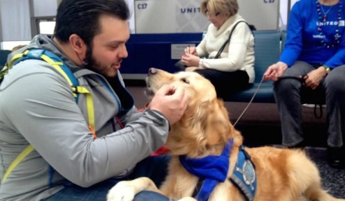 Hãng bay sử dụng chó để trấn an hành khách bị hoãn chuyến - 1