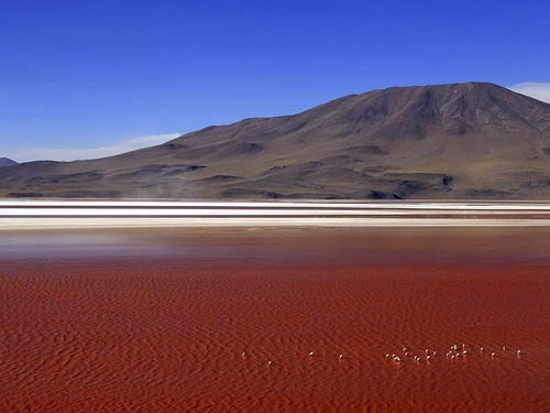Hồ muối cạn đỏ như máu ở bolivia - 2