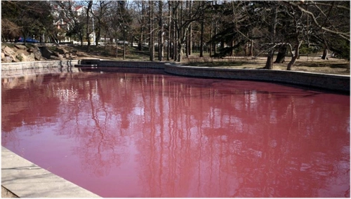 Hồ nước màu hồng ở trung quốc - 1