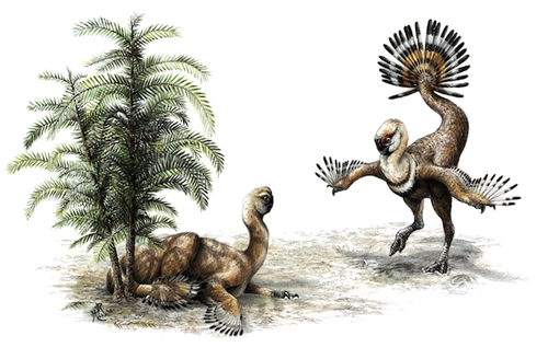 Hóa thạch khủng long romeo và juliet - 2
