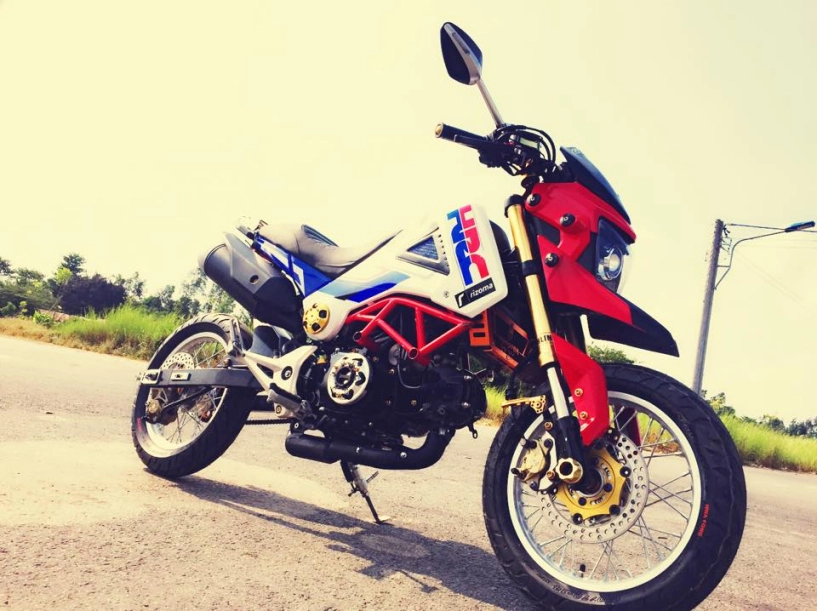 Honda msx hóa thân thành phiên bản hypermotard - 2