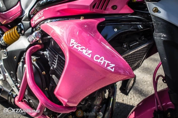 Kawasaki er-6n độ nổi bật với phiên bản pinky biggiz catz - 10