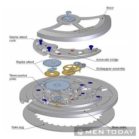 Khái niệm và sự khác biệt giữa đồng hồ automatic - 2