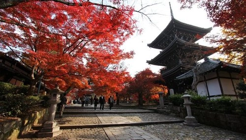 Khung cảnh rừng lá đỏ ngập tràn cố đô kyoto - 2