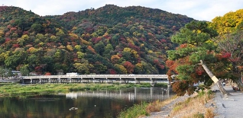 Khung cảnh rừng lá đỏ ngập tràn cố đô kyoto - 6