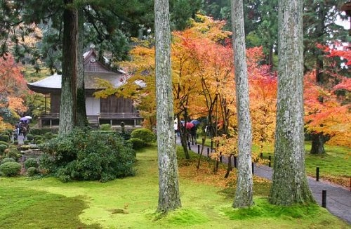 Khung cảnh rừng lá đỏ ngập tràn cố đô kyoto - 7