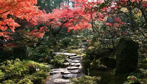 Khung cảnh rừng lá đỏ ngập tràn cố đô kyoto - 9