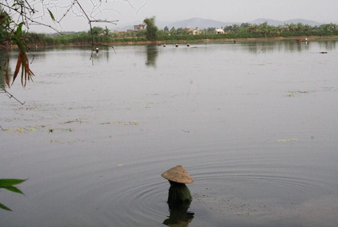 Làm mắm tép tiến vua ở thanh hóa - 1