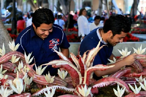 Lễ hội củ cải ở thành phố oaxaca mexico - 3