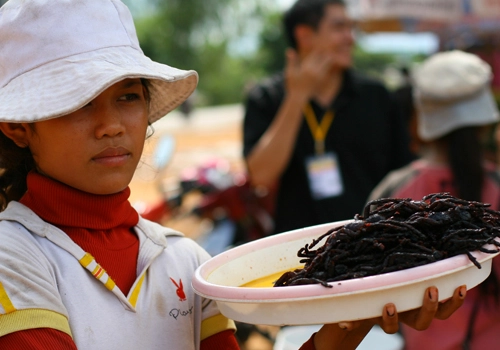 Món ăn rợn tóc gáy trên bàn tiệc - 2