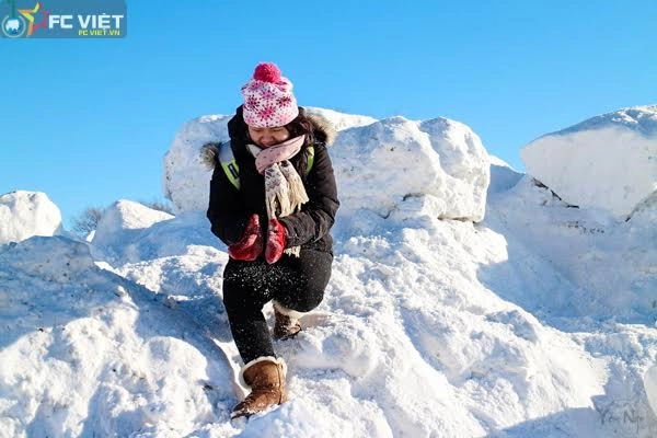 Mùa đông canada đẹp như tranh vẽ bởi tuyết trắng - 7