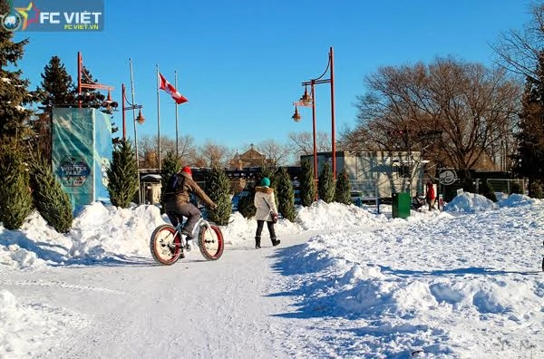 Mùa đông canada đẹp như tranh vẽ bởi tuyết trắng - 12