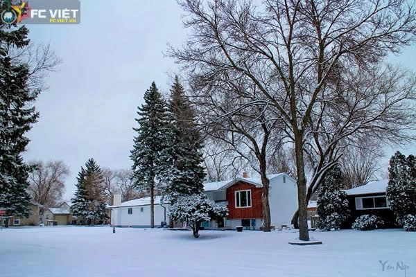 Mùa đông canada đẹp như tranh vẽ bởi tuyết trắng - 15