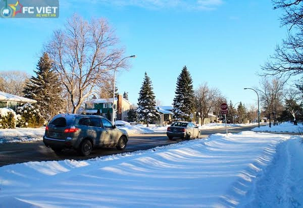 Mùa đông canada đẹp như tranh vẽ bởi tuyết trắng - 16