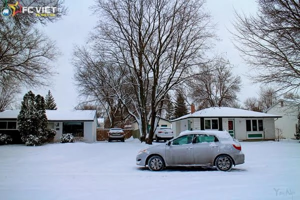 Mùa đông canada đẹp như tranh vẽ bởi tuyết trắng - 17