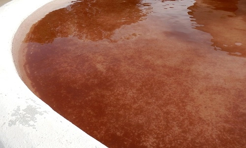 mưa máu nhuộm đỏ hồ nước tây ban nha - 1