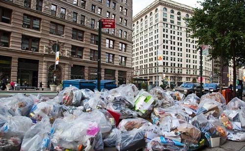 New york đầy bọc rác bẩn paris chuột vui đùa trên cỏ xanh - 2