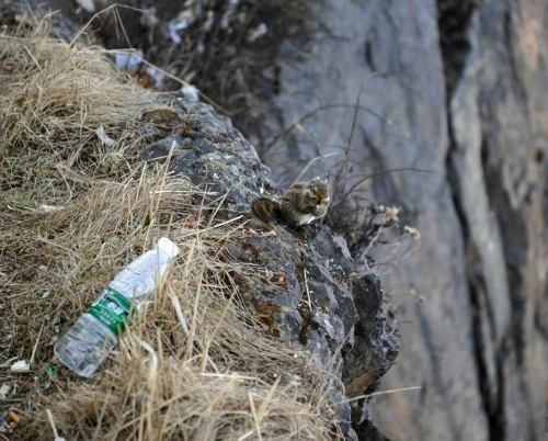người nhện nhặt rác trên vách núi cao - 2