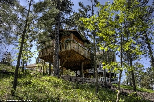Nhà nghỉ trên cây cho người hâm mộ the hobbit - 3