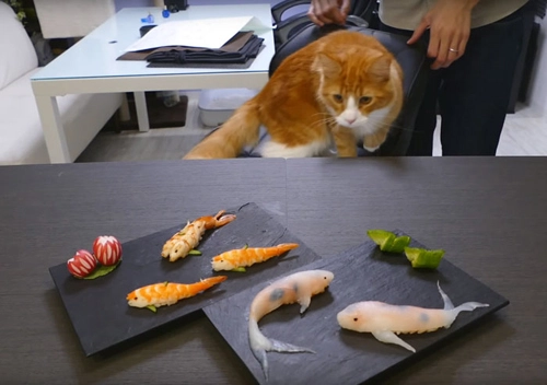 Những miếng sushi biết bơi trên đĩa ở nhật bản - 5