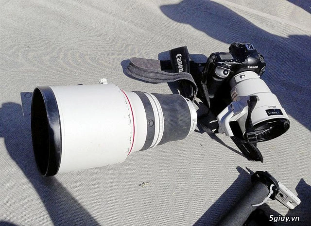 Ống kính canon cao cấp hơn 200 tr bị gãy ngang sau một trận bóng - 2